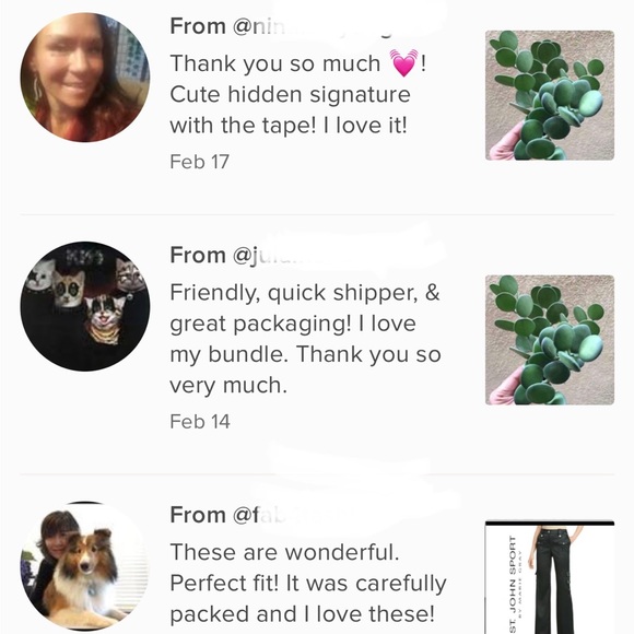 Rare Cutting Xerosicyos danguyi / Silver dollar / String of Coins - Picture 7 of 12